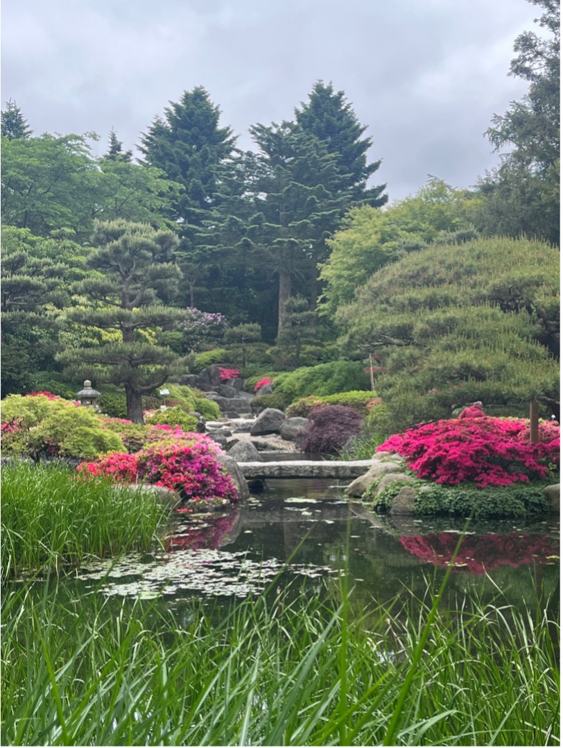 Der botanische Garten